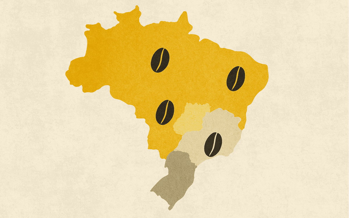 Cafés com IG do Brasil: entenda tudo sobre os cafés e as regiões