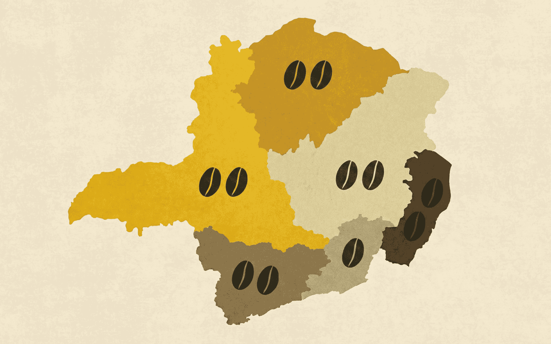 Veja as principais regiões produtoras de café em Minas Gerais