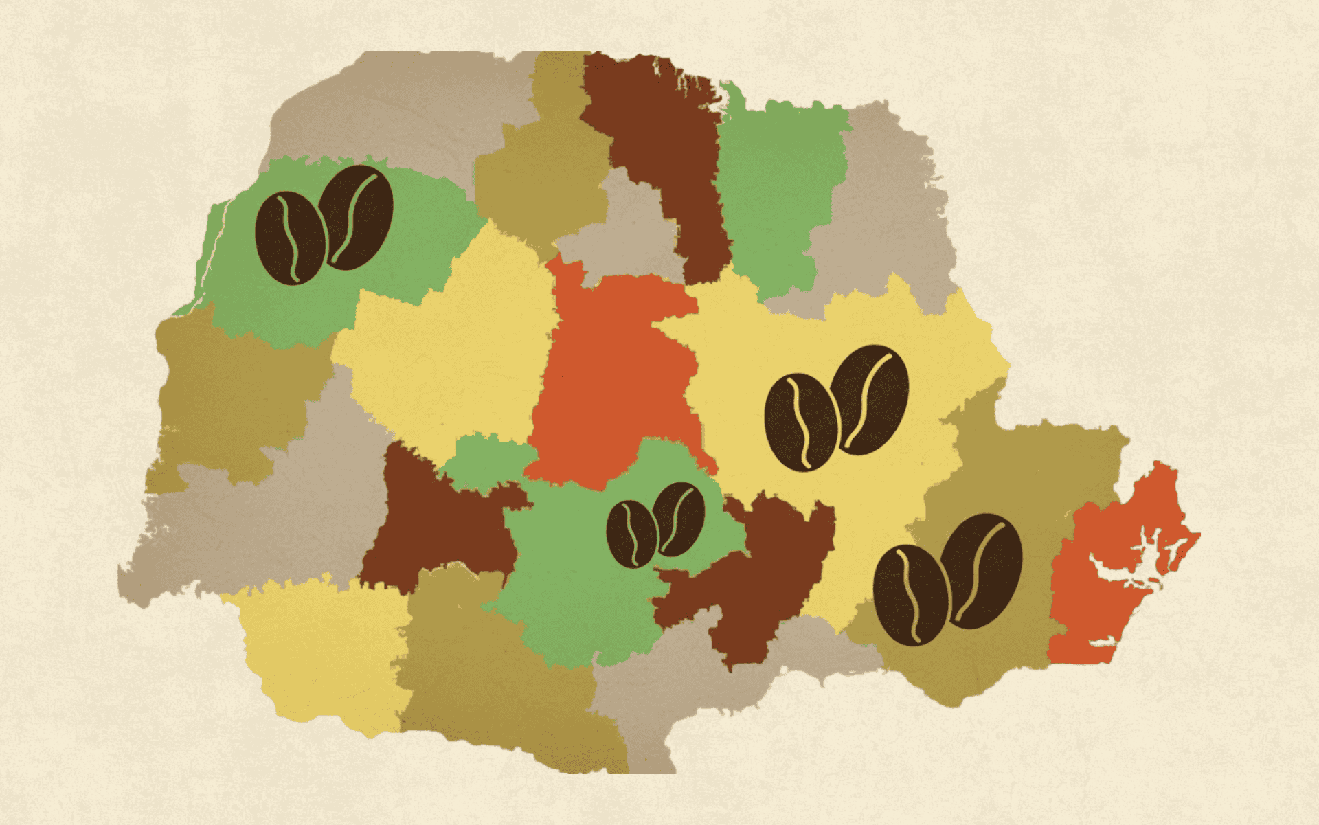 Conheça as principais regiões produtoras de café do Paraná