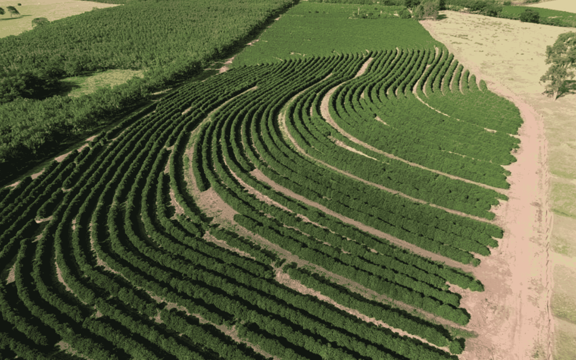 Tudo sobre a região IG Nova Alta Paulista (SP)