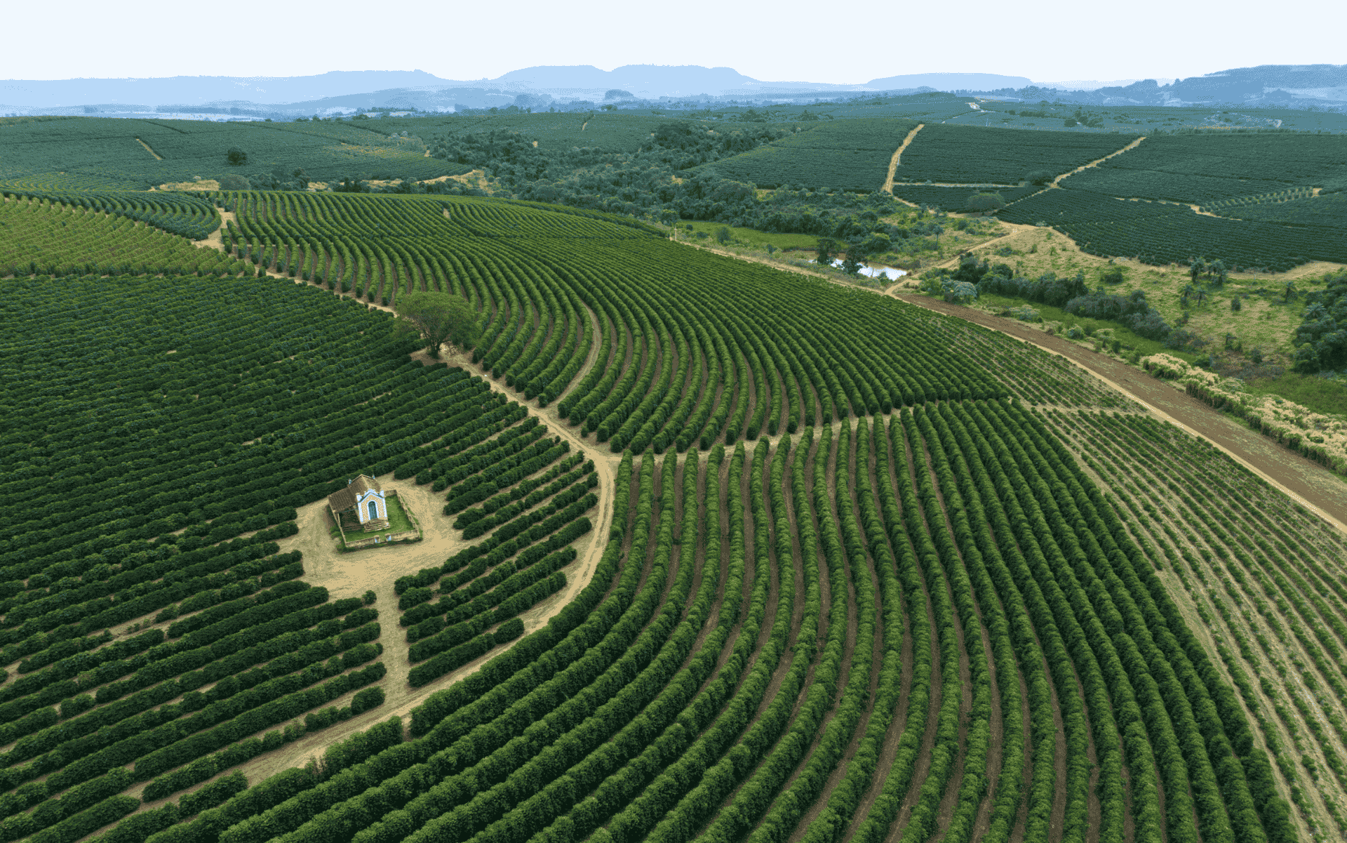 Monte Santo de Minas: Conhecendo a premiada região produtora de café do Sudoeste de Minas